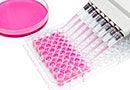 Validation of Analytical Methods in Biotechnology - Live Online Training