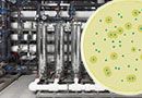 Rapid Microbial Methods for Pharmaceutical Water Systems - Live Online Training