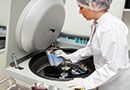 Blut, Plasma und Stammzellen - Inspektionen und Audits - Live Online Seminar
