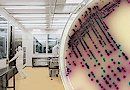 Mikrobiologisches Umgebungsmonitoring (S 6)