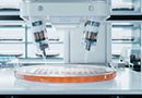 Tissue – QC, Inspections and other Challenges - Live Online Training