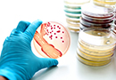 Bioburden - Live Online Training