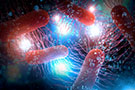 Host Cell Proteins - Live Online Training