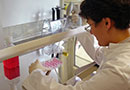 Modern Microbiology Laboratory