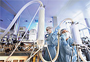Virus and TSE Safety made simple