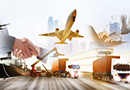 Import, Export und Anhang 21 - Live Online Seminar