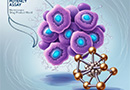 Bioassays/Potency Assays – Regulatory Requirements, Development and Routine Use