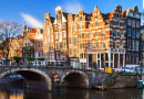 Live Online Training: Pre-Conference Session APIC/CEFIC Conference: Nitrosamine Impurities - GMP and Regulatory requirements